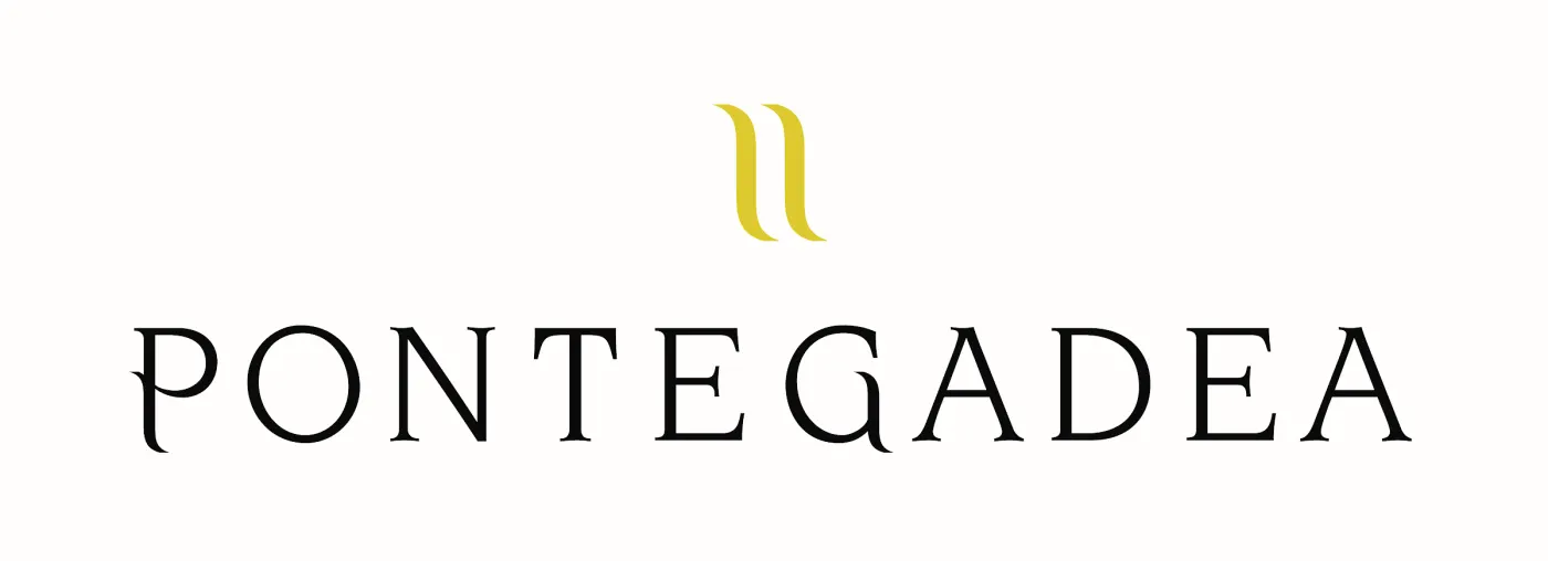 Pontegadea holding company mark