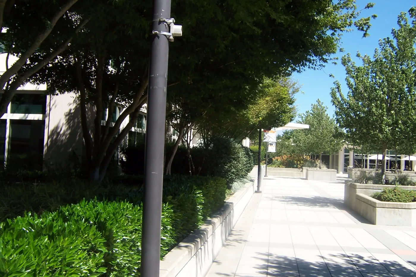 Plaza on Microsoft Redmond campus