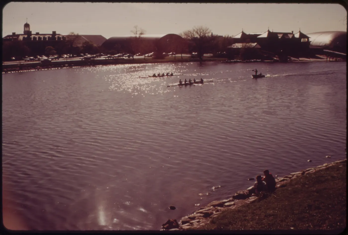 Harvard campus 13