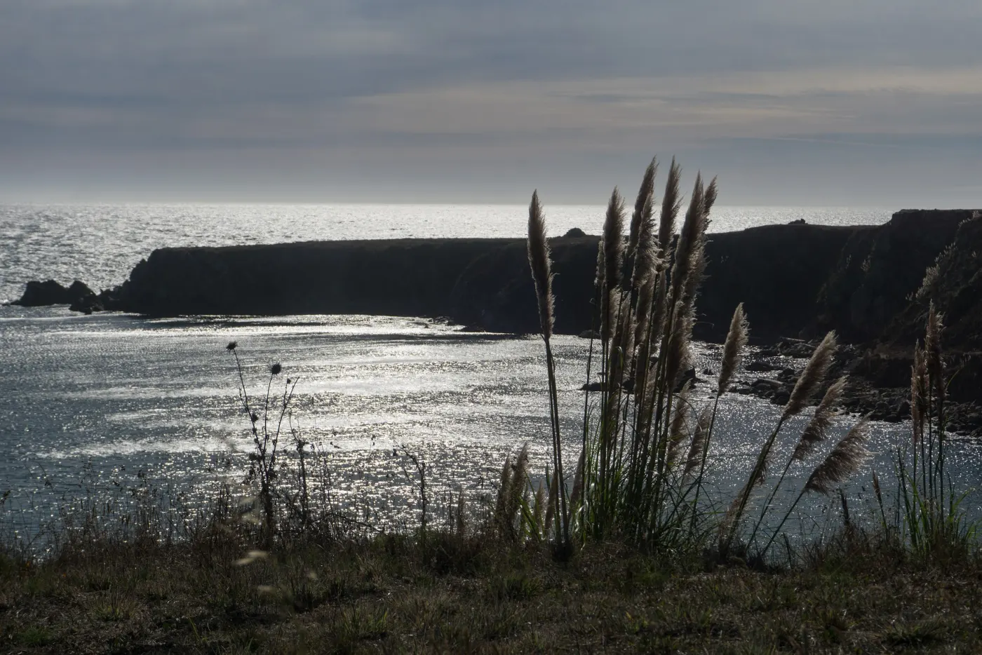 California coast