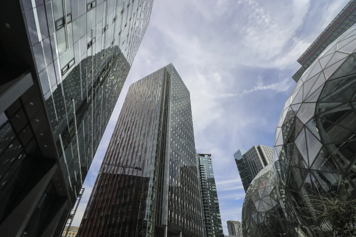 Amazon Spheres and tech campus