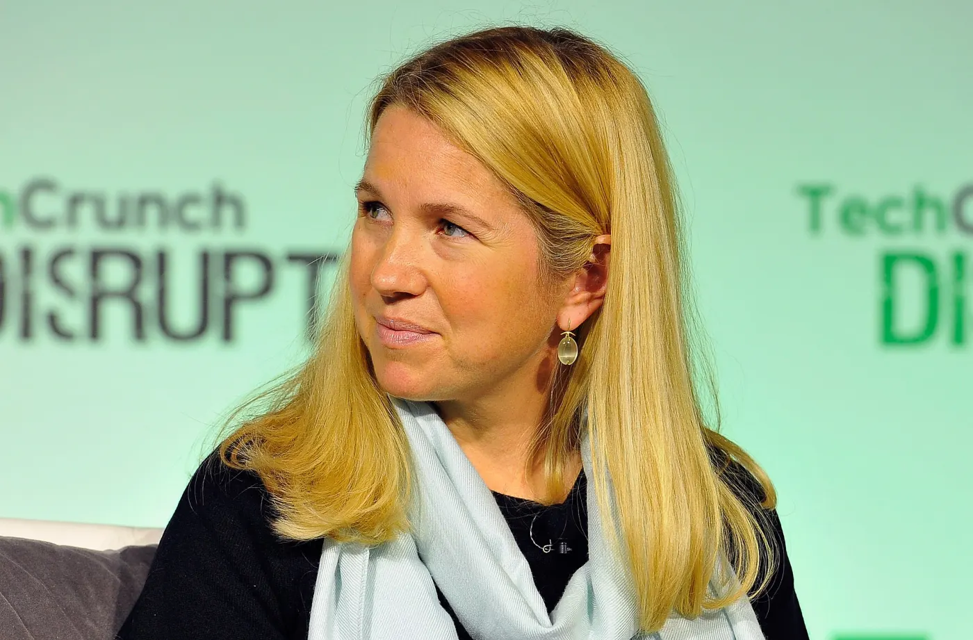 TechCrunch Disrupt 2014 (a)