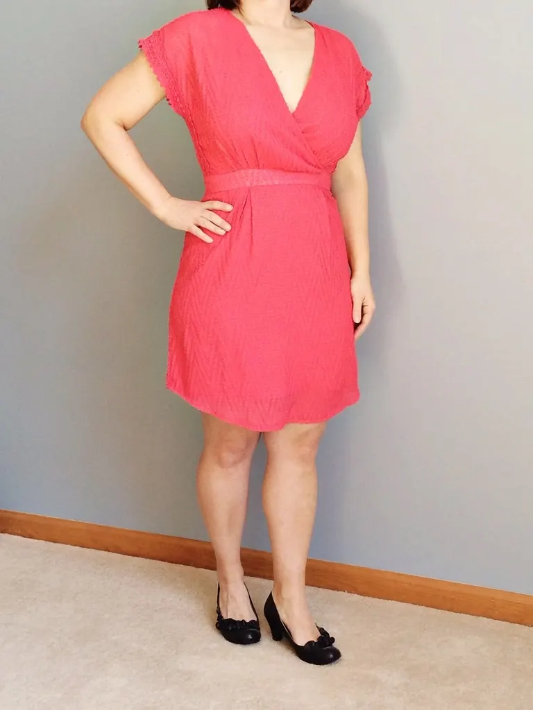 Stitch Fix dress featured in a styling selection (Flickr via Openverse, by-nd 2.0, credit: AngieSix)