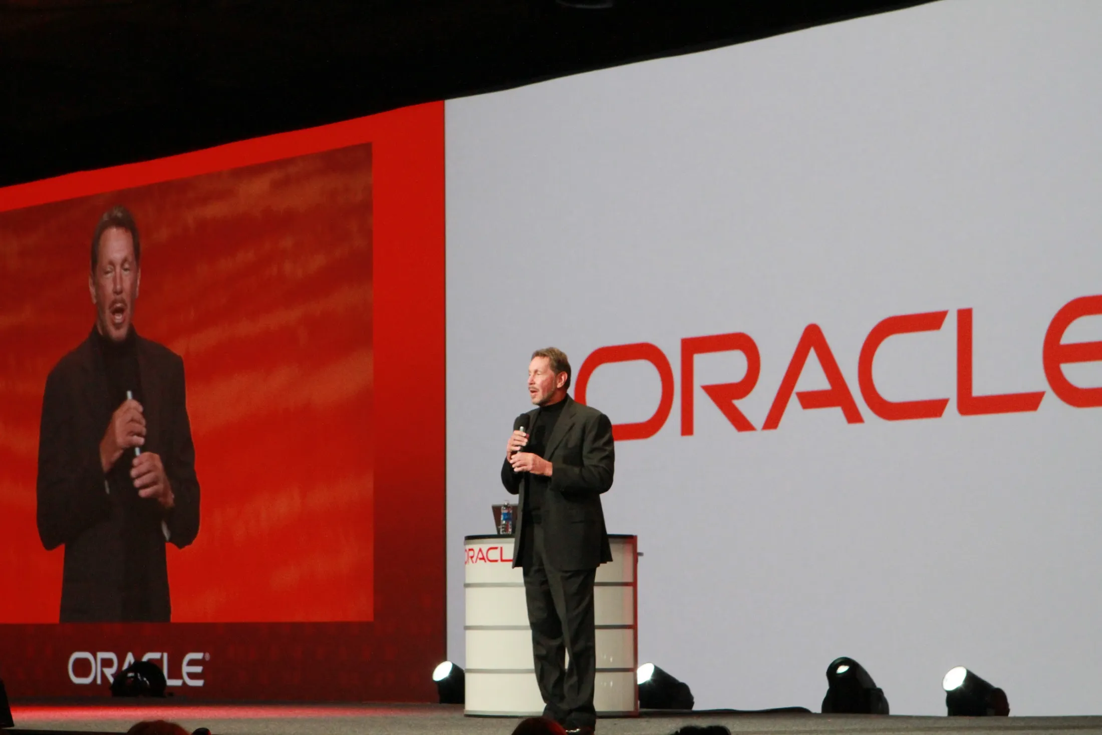 Larry Ellison portrait