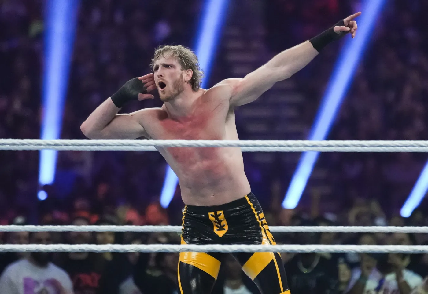 WWE Sanity