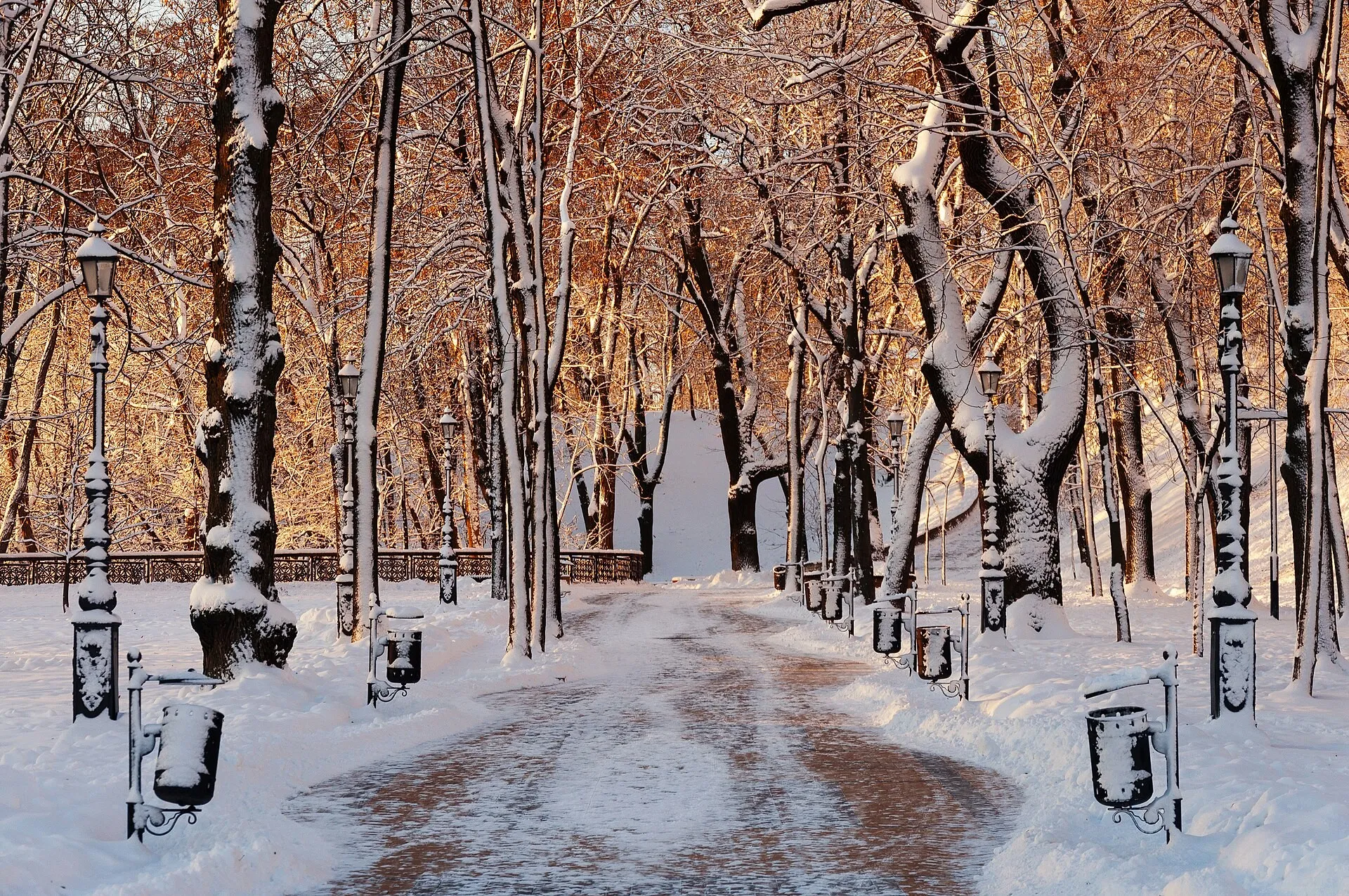 Kyiv, Ukraine, where Max Levchin was born (Wikimedia Commons, credit needed)