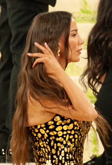 Mira Murati attending the 2026 Met Gala (Flickr via Openverse, by 4.0, credit: SWinxy)