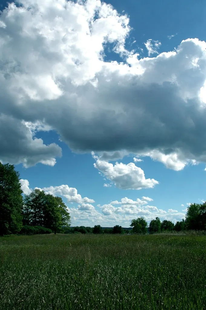 03_nathan_barry_driggers_memorial_nature_preserve.jpg (Wikimedia Commons, License, credit: creator)