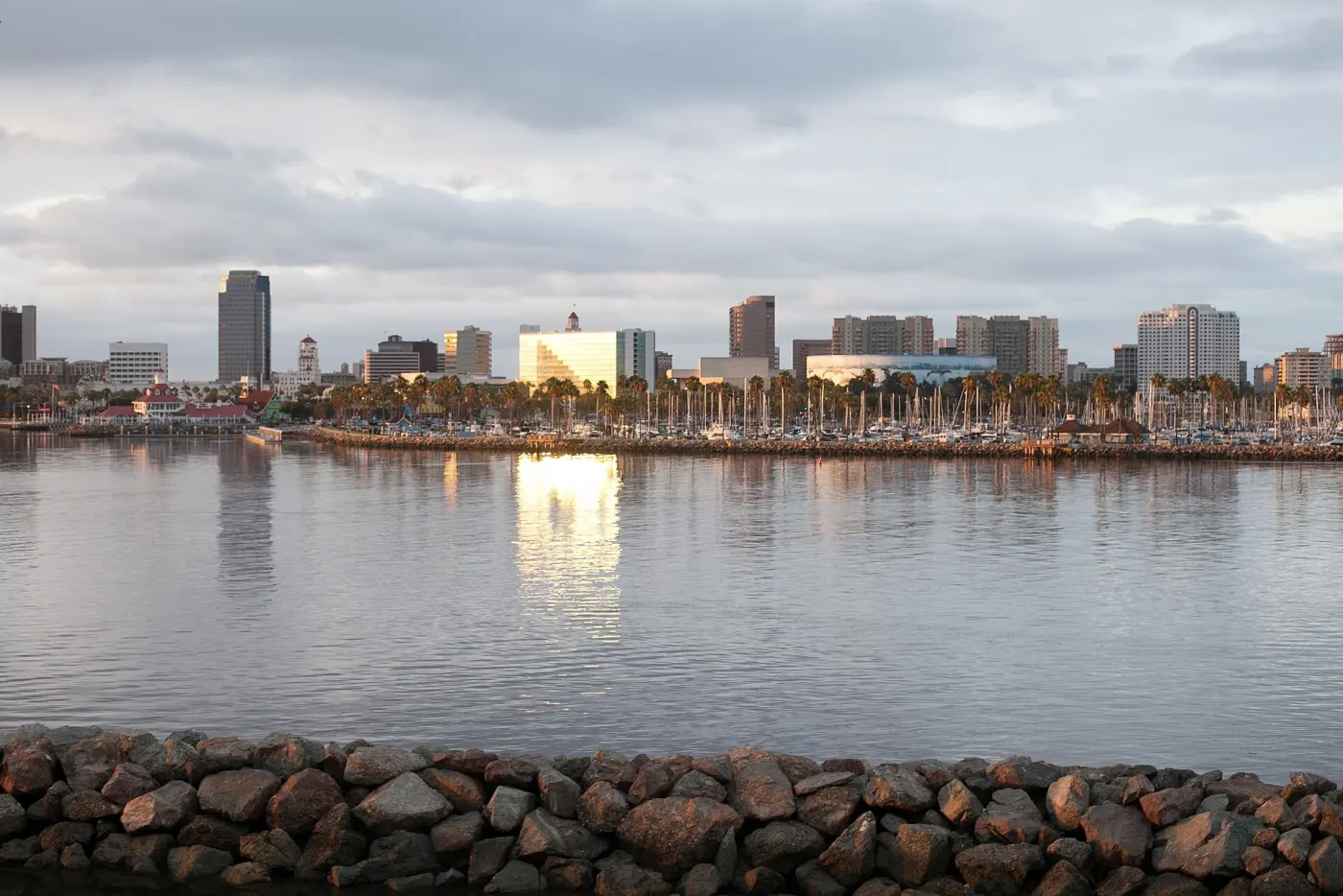 Long Beach, California, where Palmer grew up (Wikimedia Commons, credit needed)