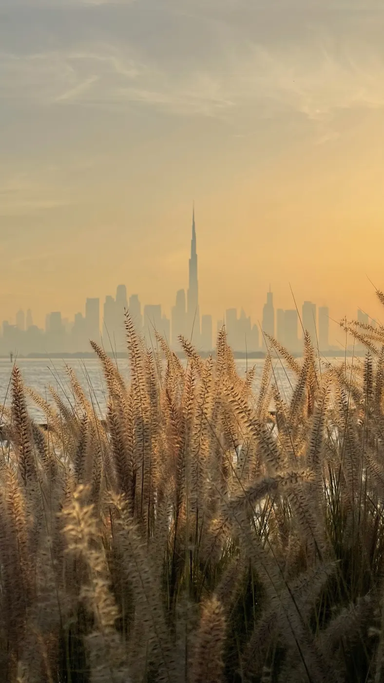 Dubai skyline / HQ city