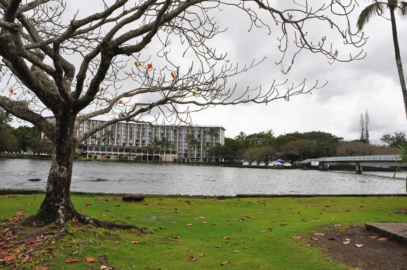 Hilo Bay, Hawaii, where Robert grew up (Wikimedia Commons, credit needed)