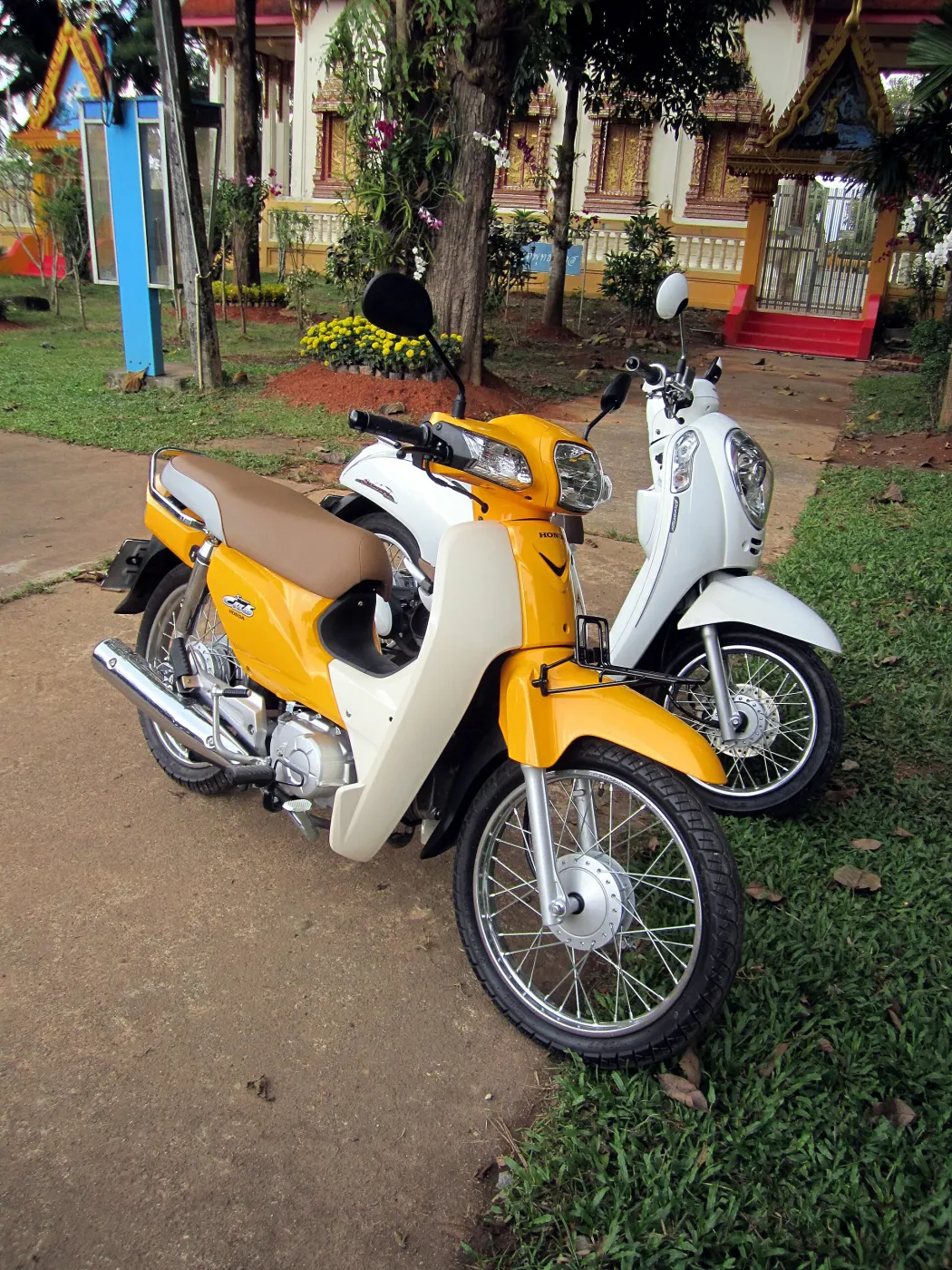Yellow and white Honda Super Cubs parked outdoors