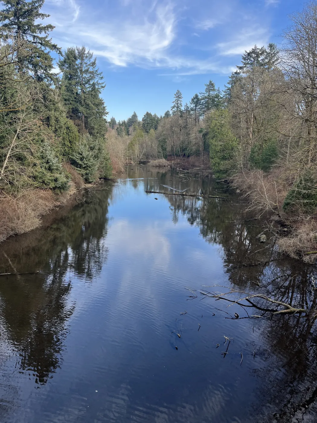 Reed College Portland