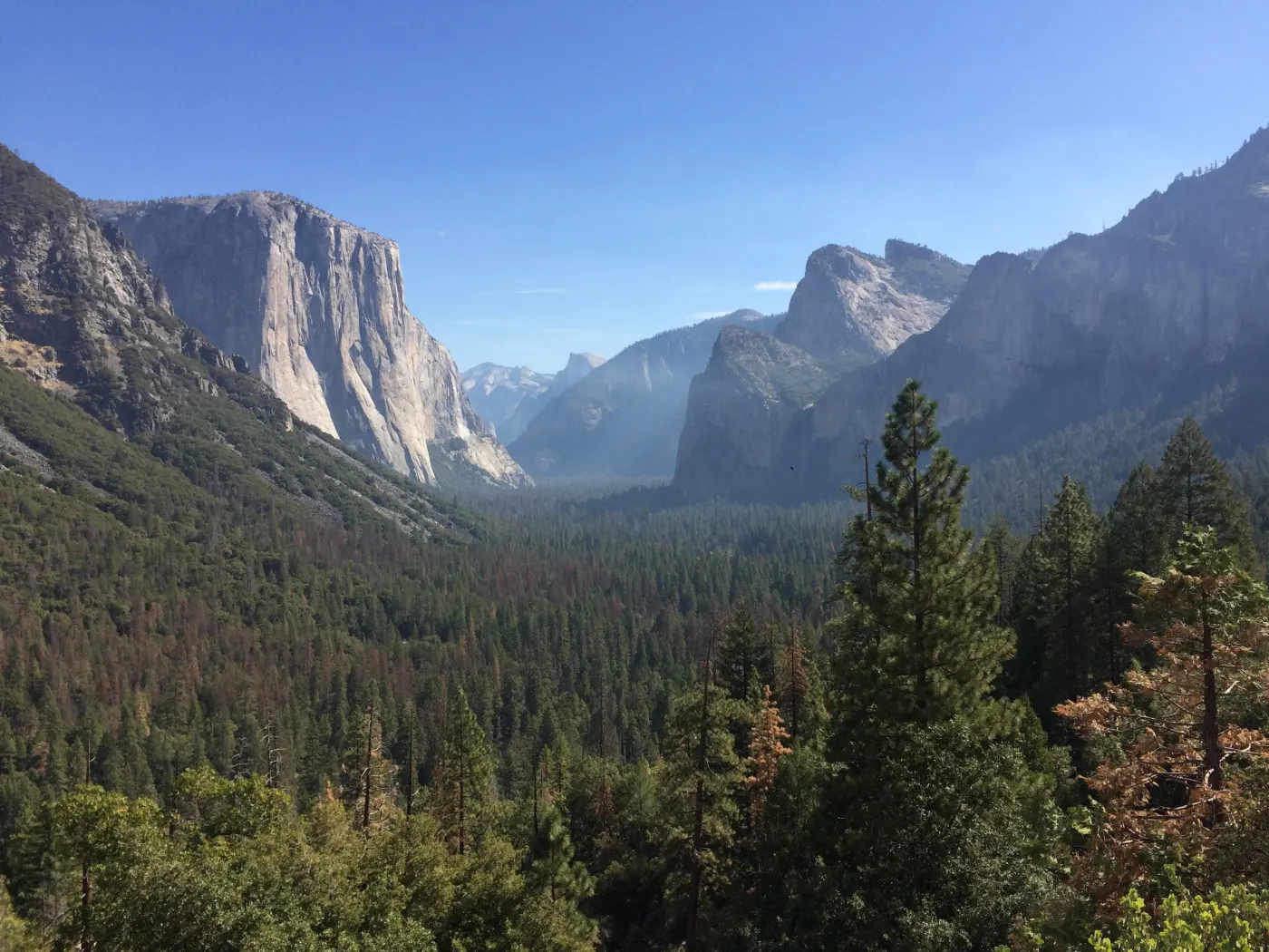 El Capitan and valley